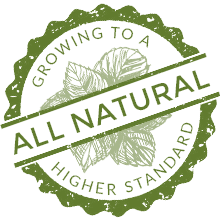 All Natural Herb Plants - Growing to a Higher Standard